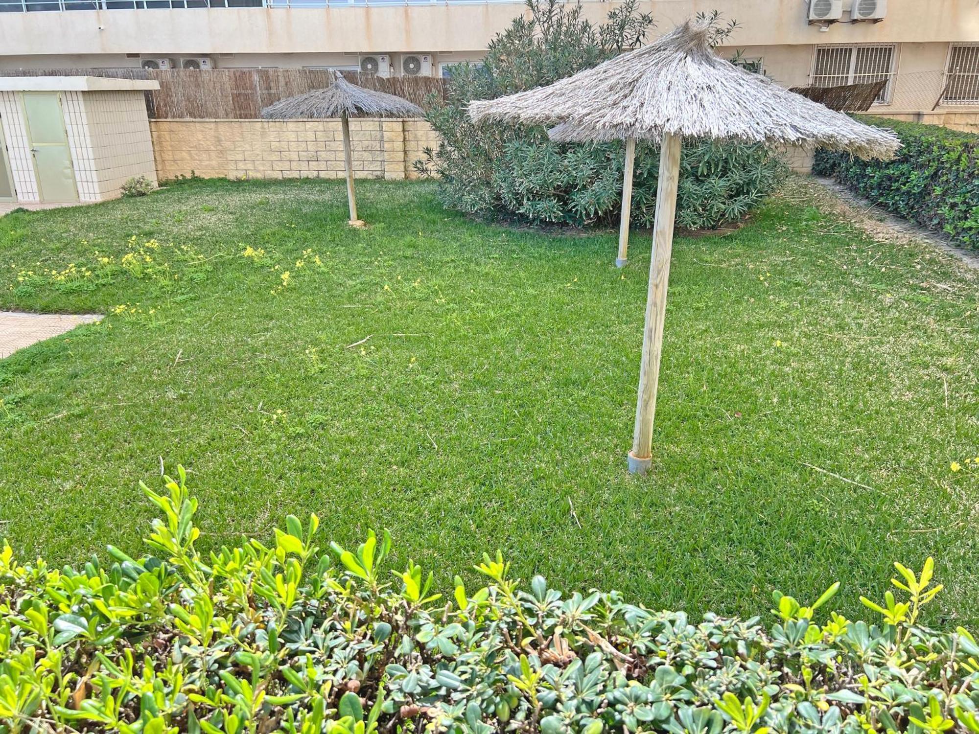 Oasis Frente Al Mar. Parking Gratis El Campello Exterior foto