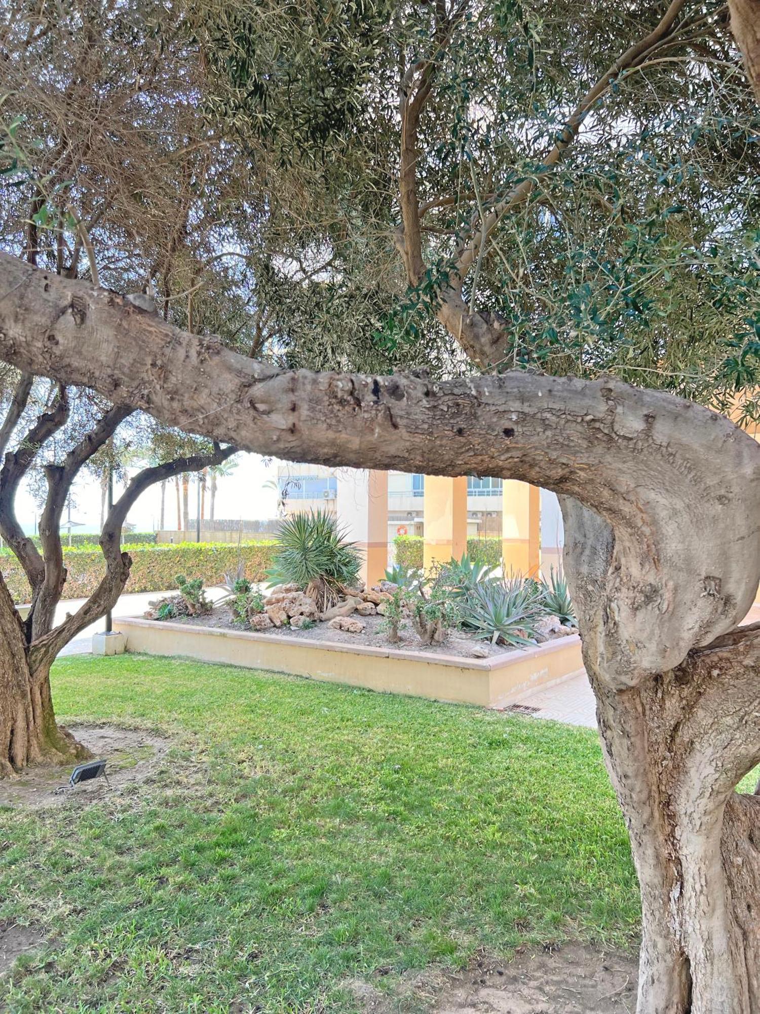 Oasis Frente Al Mar. Parking Gratis El Campello Exterior foto
