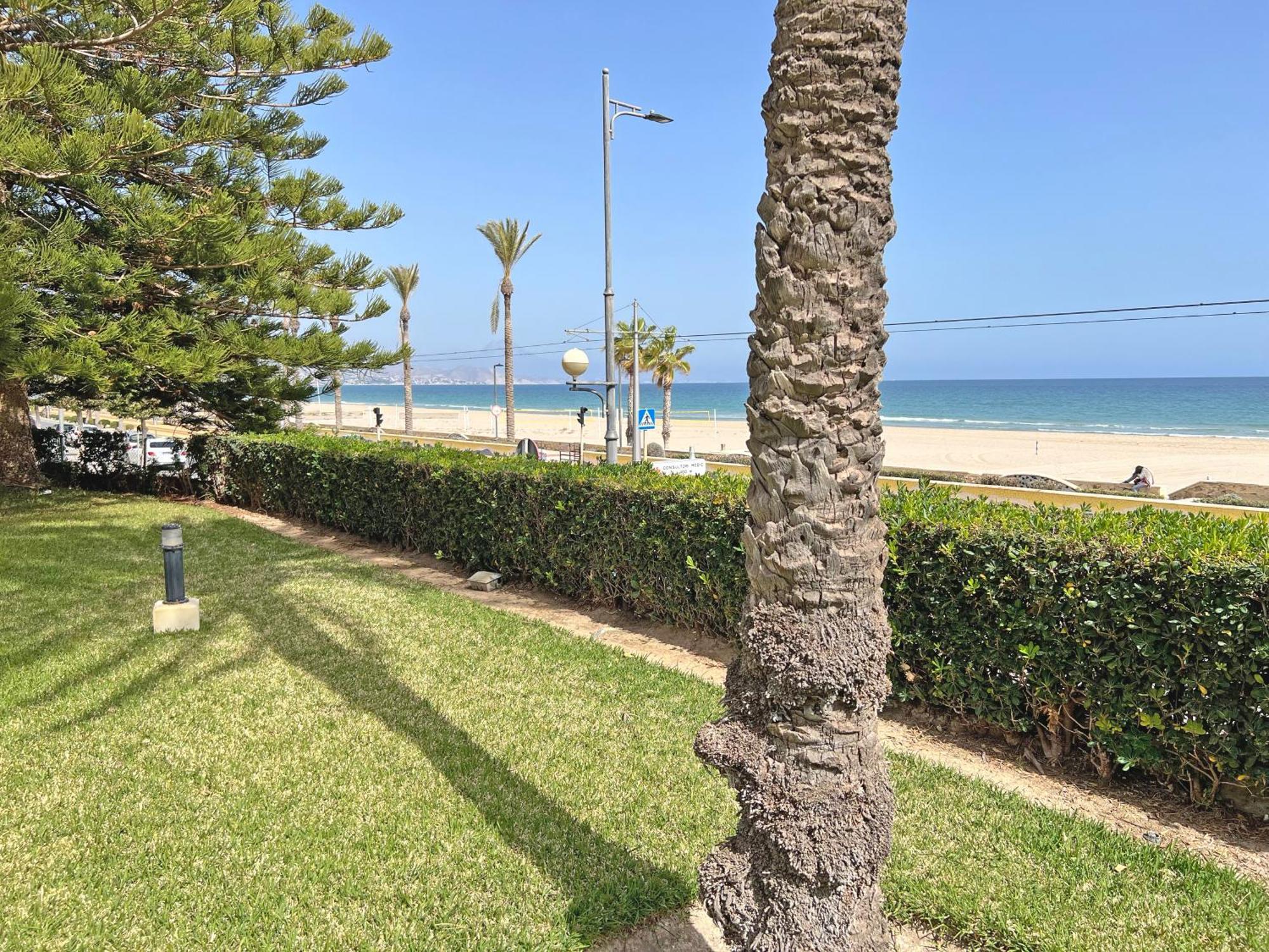 Oasis Frente Al Mar. Parking Gratis El Campello Exterior foto